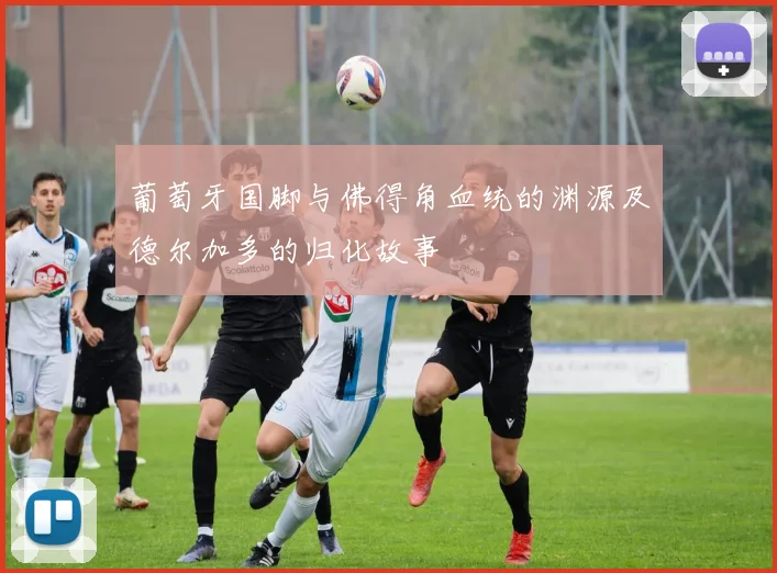 葡萄牙国脚与佛得角血统的渊源及德尔加多的归化故事