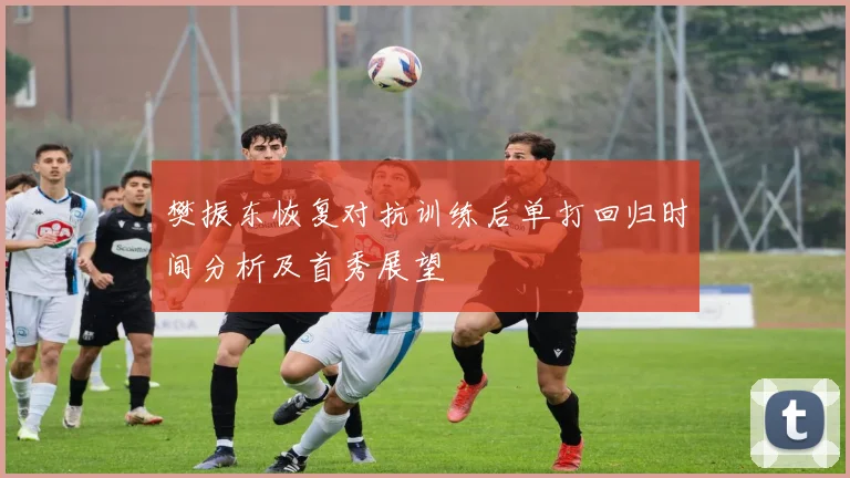 樊振东恢复对抗训练后单打回归时间分析及首秀展望